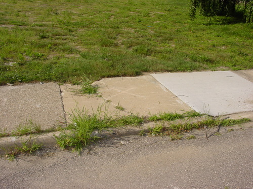 ./Gallery/2011 Bennet Lot Tree Removal/DSC06438.JPG